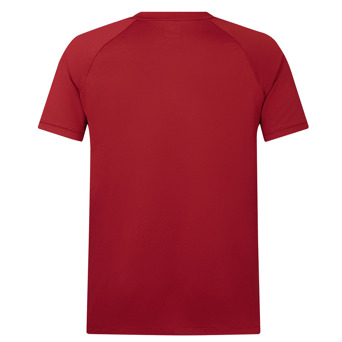 Canterbury British and Irish Lions Poly Rugby Polo - Mens - Red Dahilia